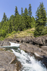 Kanada, Britisch-Kolumbien, Vancouver Island, Elk Falls Provincial Park - FOF005286