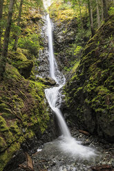 Canada, Vancouver Island, Lupin Falls - FOF005322
