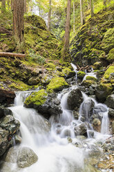 Kanada, Vancouver Island, Lupin Falls - FO005323