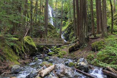 Kanada, Vancouver Island, Lupin Falls - FOF005325