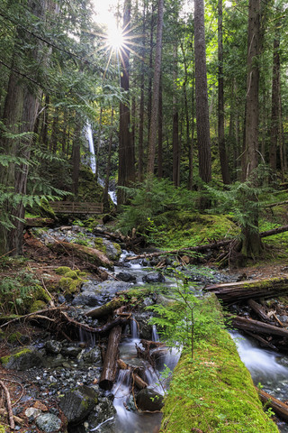 Kanada, Vancouver Island, Lupin Falls, lizenzfreies Stockfoto