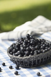 Blaubeeren auf dem Gartentisch - ASF005159