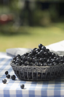 Blueberries on garden table - ASF005160