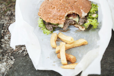 Hamburger und Pommes frites - FEXF000034