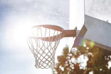 Basketball hoop - FEXF000042