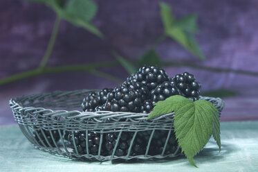 Blackberries in basket, studio shot - ASF005169