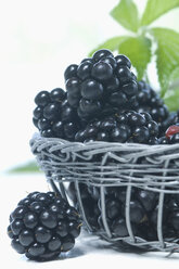 Blackberries in basket, studio shot - ASF005172