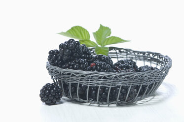 Blackberries in basket, studio shot - ASF005170