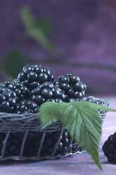 Blackberries in basket, studio shot - ASF005165