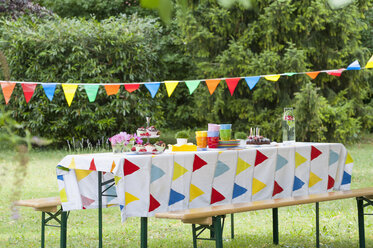 Tisch im Garten auf einer Geburtstagsfeier - NHF001428