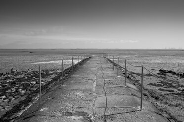 Germany, Lower Saxony, Eastern Friesland, path at low tide - WI000034