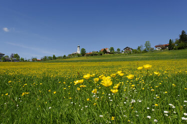 Deutschland, Oberbayern, Tölzer Land, Gaissach mit der Pfarrkirche St. Michael - LB000267