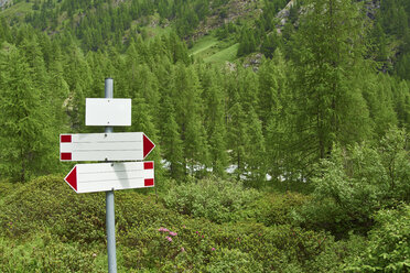 Italien, leerer Wegweiser im Wald von Valle Antrona - RKN000108