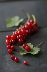 Pnicles of red currants, studio shot - AS005175
