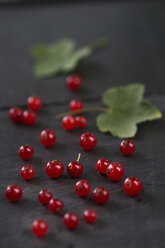 Red currants on wood, studio shot - AS005176
