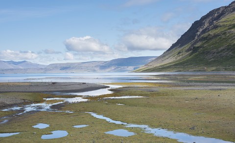 Insel, Westfjorde, Bucht bei Ebbe, lizenzfreies Stockfoto