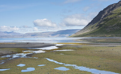 Insel, Westfjorde, Bucht bei Ebbe - HL000228