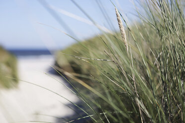 Deutschland, Niedersachsen, Ostfriesland, Langeoog, Düne am Strand - JATF000278