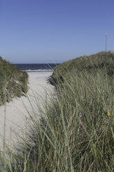 Deutschland, Niedersachsen, Ostfriesland, Langeoog, Düne am Strand - JATF000334