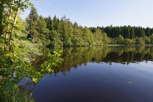 Deutschland, Bayern, Pfaffenwinkel, Engelsrieder See - SIEF004424