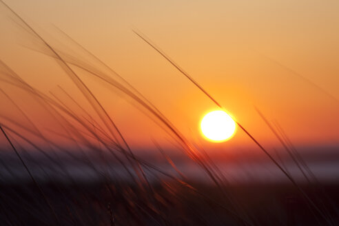 Deutschland, Niedersachsen, Ostfriesland, Borkum, Nationalpark Niedersächsisches Wattenmeer, Sonnenuntergang - WIF000065