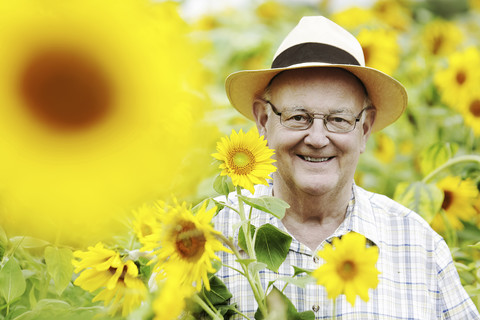 Deutschland, Köln, Senior mit Sonnenblumen, lizenzfreies Stockfoto