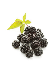 Blackberries - MAEF007280
