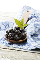 Brombeeren - MAEF007282