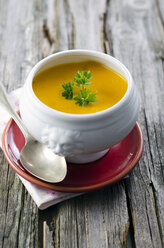 Kürbiscremesuppe - ODF000488