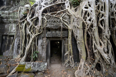 Demaged from Growing Trees on Beng Mealea Temple, Angkor, Siem Reap,  Cambodia. Big Roots Over Walls and Roof of a Temple. Stock Image - Image of  archeologic, buddhism: 148248167