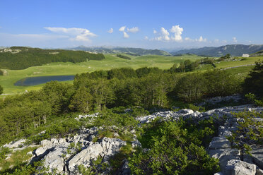 Montenegro, Durmitor National Park, Alpine pasture at Sinjajevina high plain - ES000541