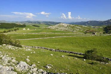 Montenegro, Durmitor-Nationalpark, Alm auf der Hochebene von Sinjajevina - ES000542
