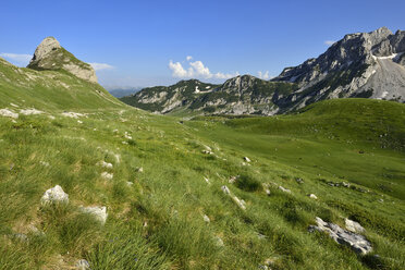 Montenegro, Durmitor National Park, Alpine pasture at Valoviti Do - ES000543