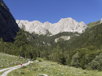 Österreich, Kärnten, Karnische Alpen, Wanderer am Biegengebirge - SIEF004433