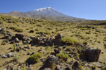 Türkei, Ostanatolien, Provinz Agri, Nationalpark Berg Ararat - ES000551