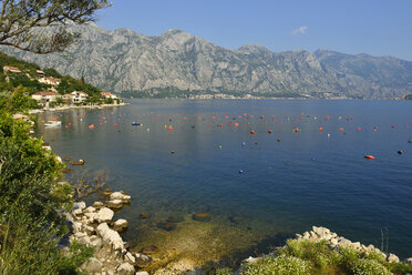 Montenegro, Crna Gora, Blick auf die Bucht von Kotor - ES000562