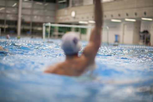 Wasserballspieler im Wasser - SEF000071