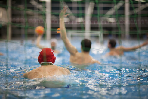 Water polo players in water - SEF000073