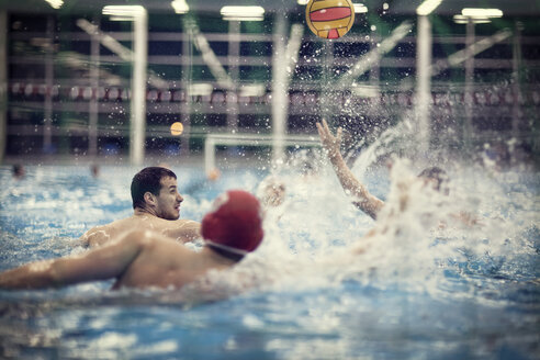 Wasserballspieler im Wasser - SEF000050