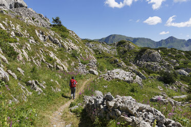 Italy, Friuli-Venezia Giulia, Carnic Alps, Hiker at Kleiner Pal - SIEF004465