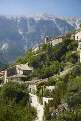 France, Brantes, Vaucluse, Provence, Mont Ventoux - DHL000070