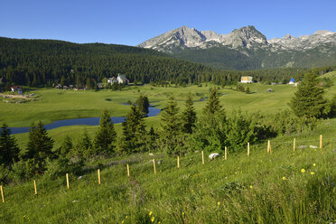 Montenegro, Crna Gora, Otoka-Fluss im Durmitor-Nationalpark - ES000590