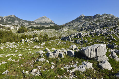 Montenegro, Crna Gora, Karstlandschaft im Lovcen-Nationalpark - ES000589