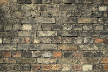 Great Britain, England, brick wall - ELF000479