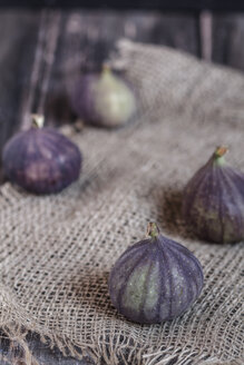 Four figs on rug, studio shot - SBDF000217