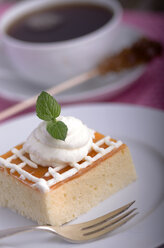 Mexican milk cake with whipped cream on plate - ODF000543