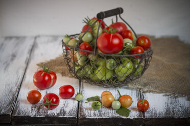 Different red and green tomatoes in wire basket, studio shot - SBDF000230