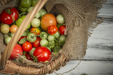 Verschiedene rote und grüne Tomaten im Korb, Studioaufnahme - SBDF000233