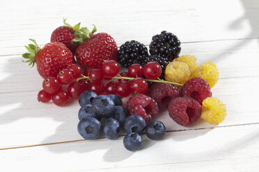 Yellow and red raspberries (Rubus idaeus), blackberries (Rubus sectio Rubus), strawberries (Fragaria), blueberries (Vaccinium myrtillus), red currants (Ribes), studio shot - CSF020069