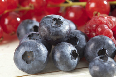 Raspberries (Rubus idaeus), blueberries (Vaccinium myrtillus), red currants (Ribes), studio shot - CSF020070